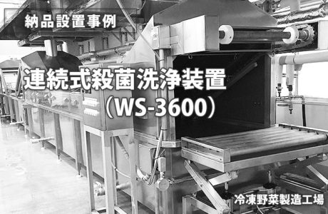 ゴンドラ連続式殺菌洗浄装置 WS-3600（納品事例）